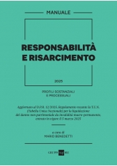 ResponsabilitÀ E Risarcimento