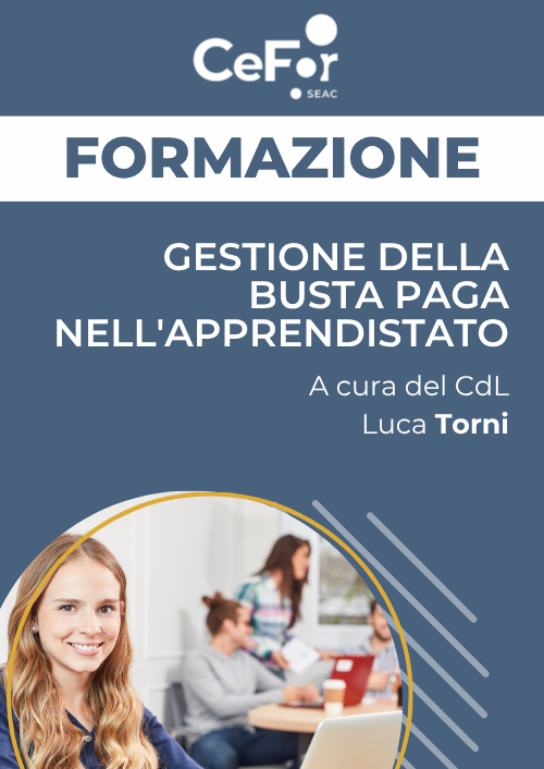 Gestione della busta paga nell'Apprendistato Gestione della busta paga nell'Apprendistato