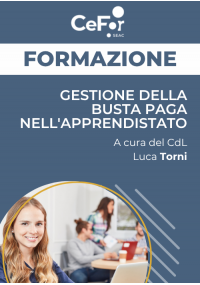 Gestione della busta paga nell'Apprendistato