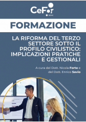 La Riforma Del Terzo Settore Sotto Il Profilo Civilistico: Implicazioni Pratiche E Gestionali La Riforma Del Terzo Settore Sotto Il Profilo Civilistico: Implicazioni Pratiche E Gestionali