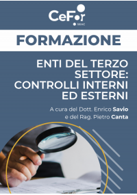 Enti del Terzo Settore: i controlli interni ed esterni