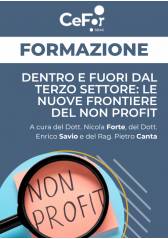 Dentro E Fuori Dal Terzo Settore: Le Nuove Frontiere Del Non Profit Dentro E Fuori Dal Terzo Settore: Le Nuove Frontiere Del Non Profit