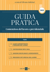 Guida Pratica Contenzioso Del Lavoro E Previdenziale 2025