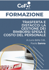 Trasferta E Distacco: La Gestione Dei Rimborsi Spesa E Costo Del Personale