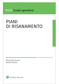 I PIANI DI RISANAMENTO