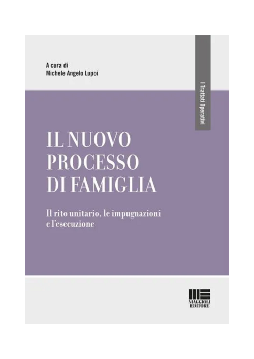 IL NUOVO PROCESSO DI FAMIGLIA