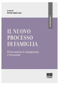 IL NUOVO PROCESSO DI FAMIGLIA