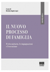 Il Nuovo Processo Di Famiglia