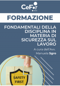 Fondamentali della Disciplina in materia di Sicurezza sul Lavoro