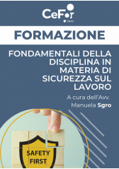 Fondamentali Della Disciplina In Materia Di Sicurezza Sul Lavoro