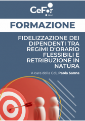 Fidelizzazione Dei Dipendenti Tra Regimi D'orario Flessibili E Retribuzione In Natura