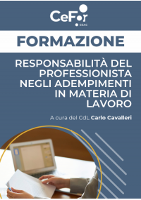 Responsabilità del Professionista negli adempimenti in materia di Lavoro