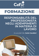 Responsabilità Del Professionista Negli Adempimenti In Materia Di Lavoro