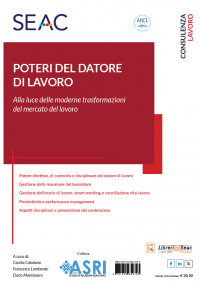 POTERI DEL DATORE DI LAVORO ALLA LUCE DELLE MODERNE TRASFORMAZIONI DEL MERCATO DEL LAVORO