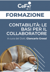Contabilità: Le Basi Per Il Collaboratore