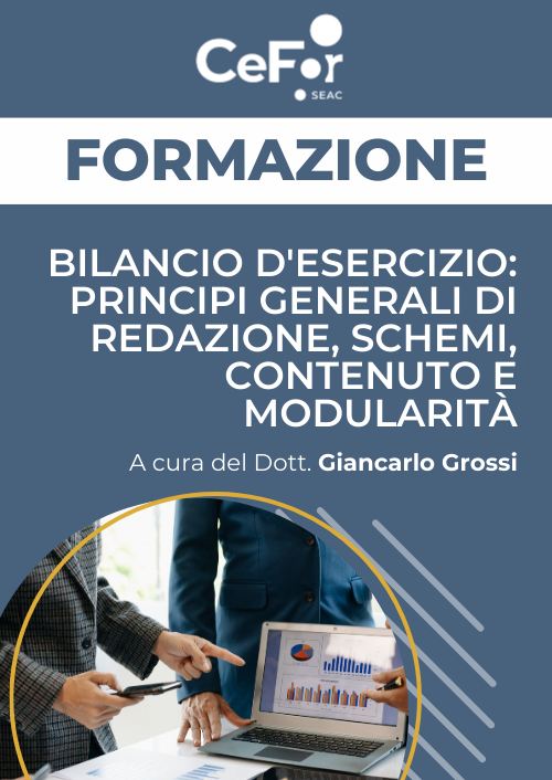 Bilancio d'esercizio: principi generali di redazione, schemi, contenuto e modularità