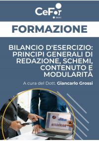 Bilancio d'esercizio: principi generali di redazione, schemi, contenuto e modularità