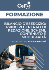Bilancio D'esercizio: Principi Generali Di Redazione, Schemi, Contenuto E Modularità