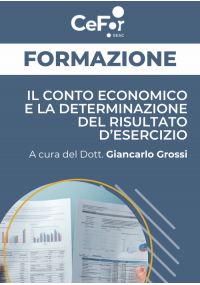 Il conto economico e la determinazione del risultato di esercizio