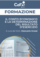 Il Conto Economico E La Determinazione Del Risultato Di Esercizio