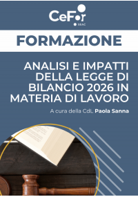 Analisi e Impatti della Legge di Bilancio 2026 in materia di lavoro