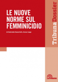 LE NUOVE NORME SUL FEMMINICIDIO