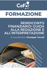 Rendiconto Finanziario: guida alla redazione e all’interpretazione - Ed. Novembre