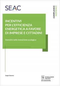 INCENTIVI PER L'EFFICIENZA ENERGETICA A FAVORE DI IMPRESE E CITTADINI