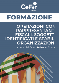 Operazioni con rappresentanti fiscali, soggetti identificati e stabili organizzazioni