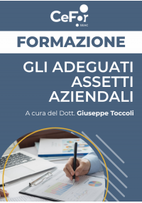 Gli adeguati assetti aziendali