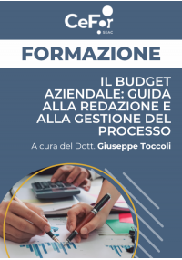 Il budget aziendale: guida alla redazione e alla gestione del processo