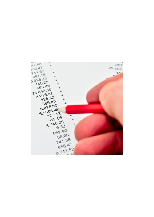 [Excel] Break Even per Settori, Budget economico e Cash Flow