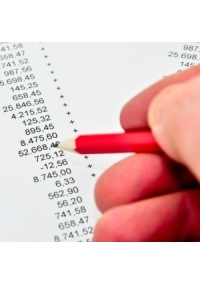[Excel] Break Even per Settori, Budget economico e Cash Flow