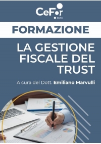 La gestione fiscale del Trust