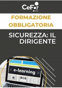 Sicurezza: il Dirigente