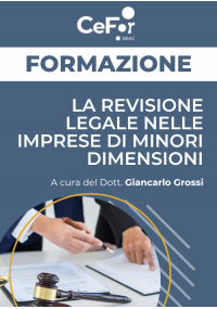 La Revisione Legale nelle Imprese di minori dimensioni