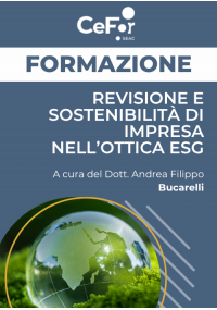 Revisione e sostenibilità di impresa nell'ottica ESG