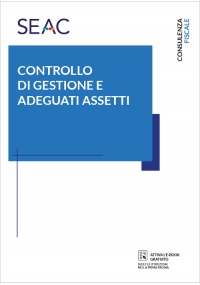 CONTROLLO DI GESTIONE E ADEGUATI ASSETTI