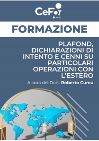 Plafond, dichiarazioni di intento e cenni su particolari operazioni con l’estero