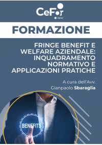 Fringe Benefit e Welfare Aziendale: inquadramento normativo e applicazioni pratiche