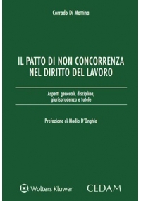 IL PATTO DI NON CONCORRENZA NEL DIRITTO DEL LAVORO