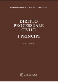DIRITTO PROCESSUALE CIVILE. I PRINCIPI