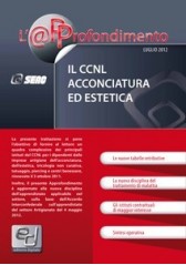 Il CCNL Acconciatura ed Estetica Il CCNL Acconciatura ed Estetica
