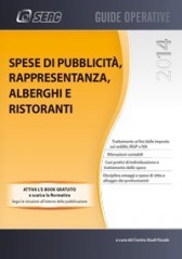 SPESE DI PUBBLICITA', RAPPRESENTANZA, ALBERGHI E RISTORANTI SPESE DI PUBBLICITA', RAPPRESENTANZA, ALBERGHI E RISTORANTI