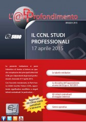 Il CCNL Studi Professionali Il CCNL Studi Professionali
