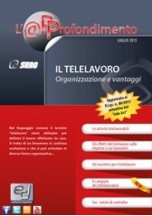 IL TELELAVORO IL TELELAVORO