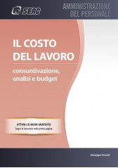 Il Costo Del Lavoro: Consuntivazione, Analisi E Budget Il Costo Del Lavoro: Consuntivazione, Analisi E Budget