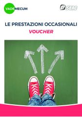 VADEMECUM - LE PRESTAZIONI OCCASIONALI (VOUCHER) VADEMECUM - LE PRESTAZIONI OCCASIONALI (VOUCHER)