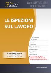 Le Ispezioni Sul Lavoro Le Ispezioni Sul Lavoro