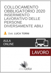 Collocamento obbligatorio 2020 - Inserimento lavorativo delle persone diversamente abili Collocamento obbligatorio 2020 - Inserimento lavorativo delle persone diversamente abili
